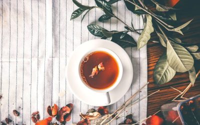 Les habitudes, comment les développer ou s’en débarrasser ?